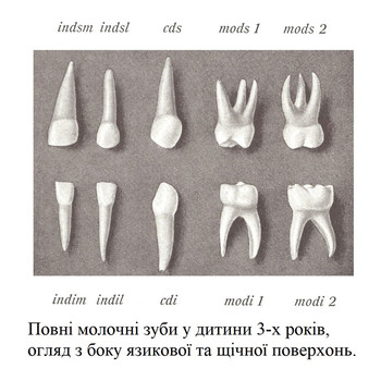 Повні молочні зуби у дитини 3-х років