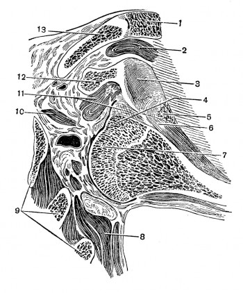 Подмышечный вывих левого плечевого сустава