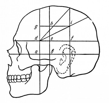 Схема черепно-мозговой топографии (по Кренлейну — Брюсовой).