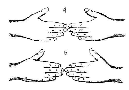 Пальцы руки