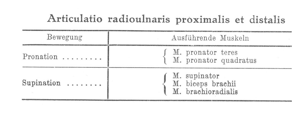 Articulatio radioulnaris proximalis et distalis