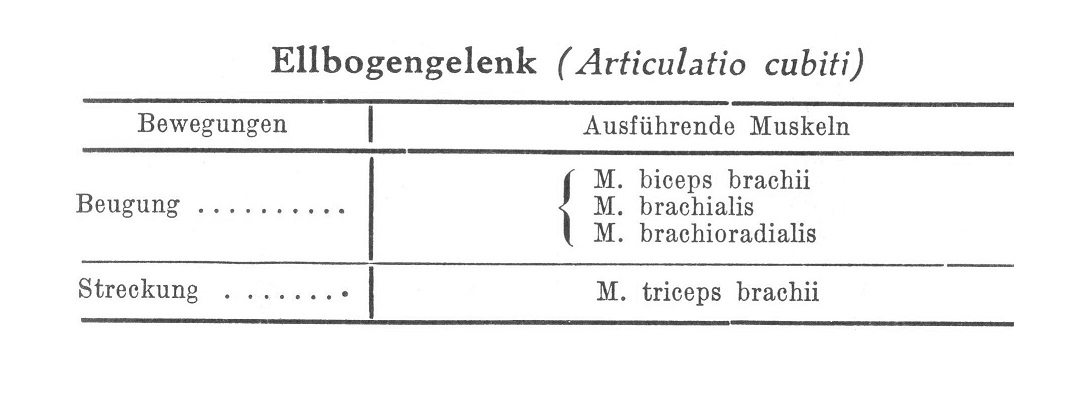 Ellbogengelenk (Articulatio cubiti)